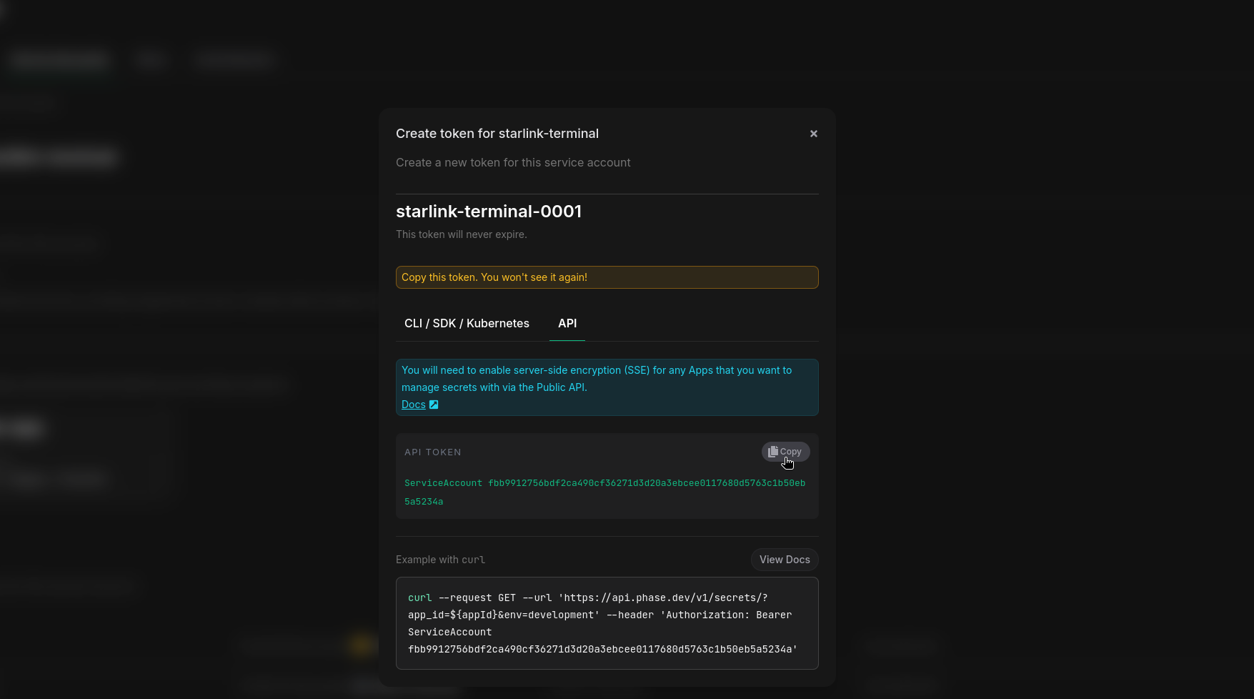 Copy REST API Token